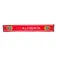 Ud almeria Sciarpa Team Name