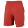 Tecnifibre Team stretch shortsit