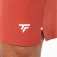 Tecnifibre Team stretch shortsit