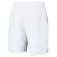 Tecnifibre Team stretch shortsit
