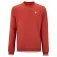 Tecnifibre Sudadera Team terry