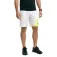 Tecnifibre Short X-loop