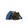 Moment Strap camera mount