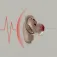Skullcandy Écouteurs sans fil Method 360
