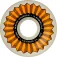 Bones Roda Sidecut v5 sidecut x-formula
