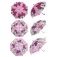 Arditex Disney Minnie Automatic 3 Assorted 우산