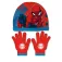 Arditex Marvel Spiderman set