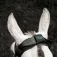 Horseware Protector calmant iònic