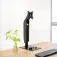 Tooq Support d´écran Db1741Tn-B