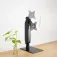 Tooq Support d´écran Db1741Tn-B