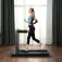 Kingsmith ORWKPX214 walkingpad Loopband