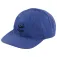 ION Team cap