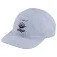ION Team cap