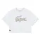 Lacoste 447166 반팔 티셔츠