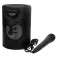 Bontempi Micròfon Wireless With Speaker-50W