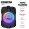 Bontempi Microfone Wireless With Speaker-80W