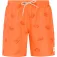 Protest Short de bain Hector