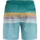 Protest Latika simshorts
