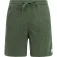 Protest Uleyo shorts