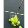 Balls unlimited 공 줍기
