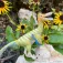Safari ltd Austroraptor Rysunek