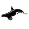 Safari ltd Orca Type D Rysunek