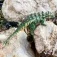 Safari ltd Zuul figur