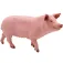 Schleich Pig figur