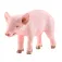 Schleich Piggy figur