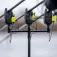 Avid carp VTX 2+1 set bite alarm