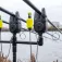 Avid carp VTX bittalarm