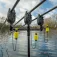 Avid carp VTX bidalarm