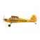 Amewi Avion télécommandé Skylark