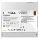 Antec CSK DC 750W 電源