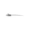 C2g CAT6a network cable 0.3 m