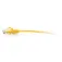 C2g CAT6a network cable 2.1 m