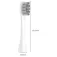 Xiaomi Oclean PW01 Electric Brush Replacement