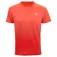 Tecnifibre Samarreta de màniga curta Team x-loop