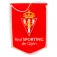 Sporting de gijon Flag