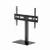 Gembird Support TV TVS-D75S-01