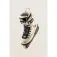 Mesmer Throne billy o´neill inline skates