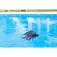 Beatbot AquaSense 2 pool cleaning robot