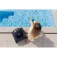 Beatbot AquaSense 2 pool cleaning robot