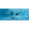 Beatbot AquaSense pool cleaning robot