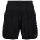 Hummel Authentic shorts