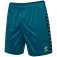 Hummel Authentic shorts
