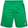 Hummel Calções Authentic