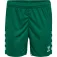Hummel Core 2.0 kurze hose