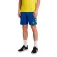 Hummel Core 2.0 Spodenki