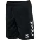 Hummel Шорты Core 2.0 Training